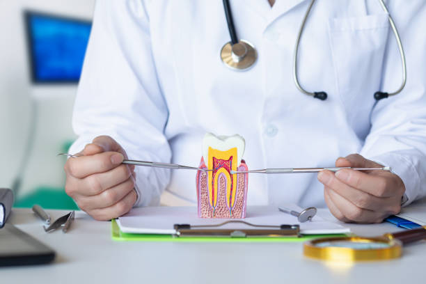 Best Broken or Cracked Tooth Emergency Dentist in Deer Park, TX
